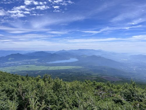 IMG 7850-Large