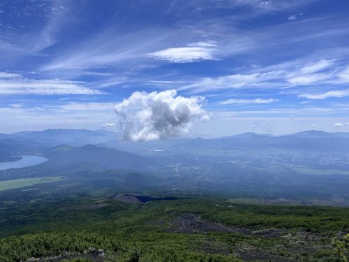 IMG 7853-Large